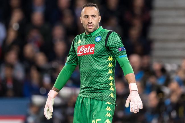 显出雏形 显出雏形