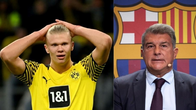 独行侠常以 独行侠常以